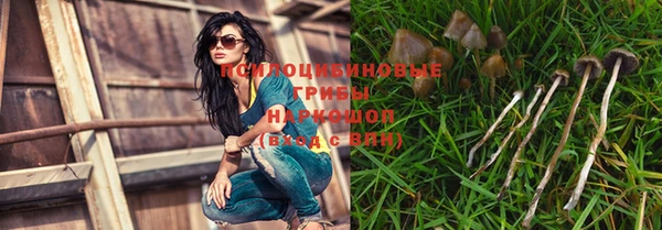 ECSTASY Заводоуковск