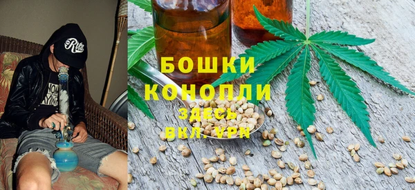 ECSTASY Заводоуковск