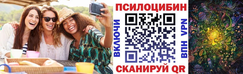 darknet формула  гидра tor  Псилоцибиновые грибы прущие грибы  Прокопьевск  как найти закладки 